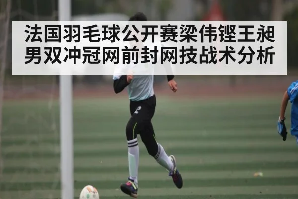 法国羽毛球公开赛梁伟铿王昶男双冲冠网前封网技战术分析