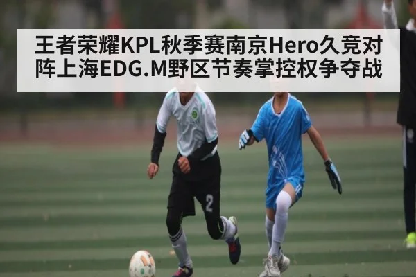 王者荣耀KPL秋季赛南京Hero久竞对阵上海EDG.M野区节奏掌控权争夺战